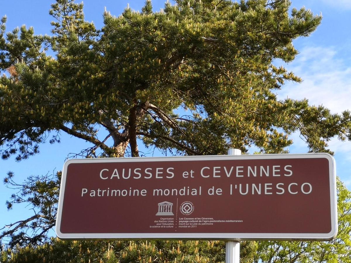 Rêve de Causse Saint-Michel-d'Alajou Exterior foto